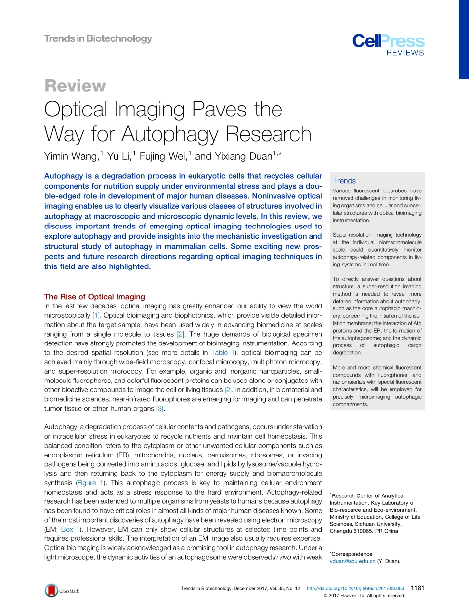 Optical Imaging Paves the Way for Autophagy Research.pdf_第1页