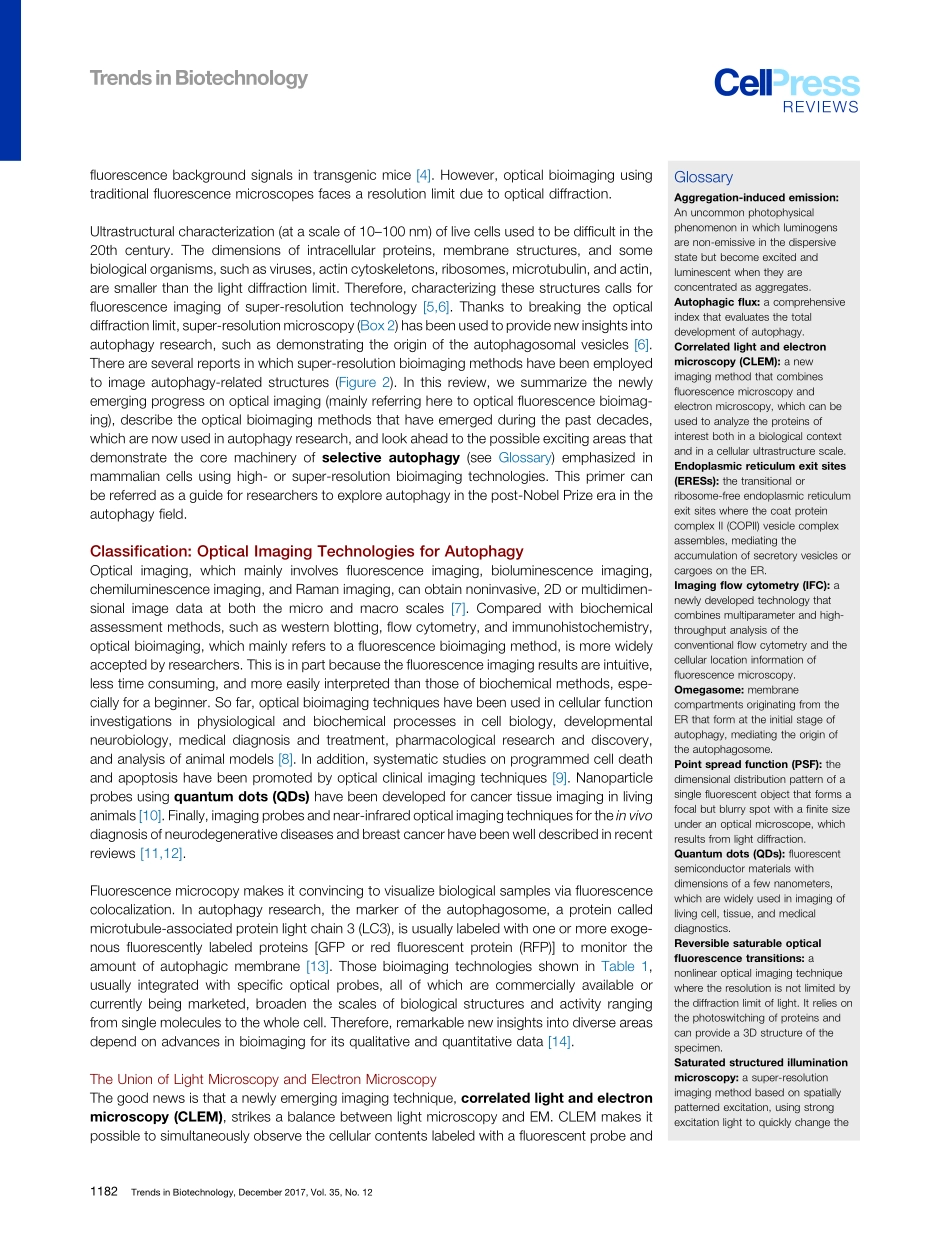 Optical Imaging Paves the Way for Autophagy Research.pdf_第2页