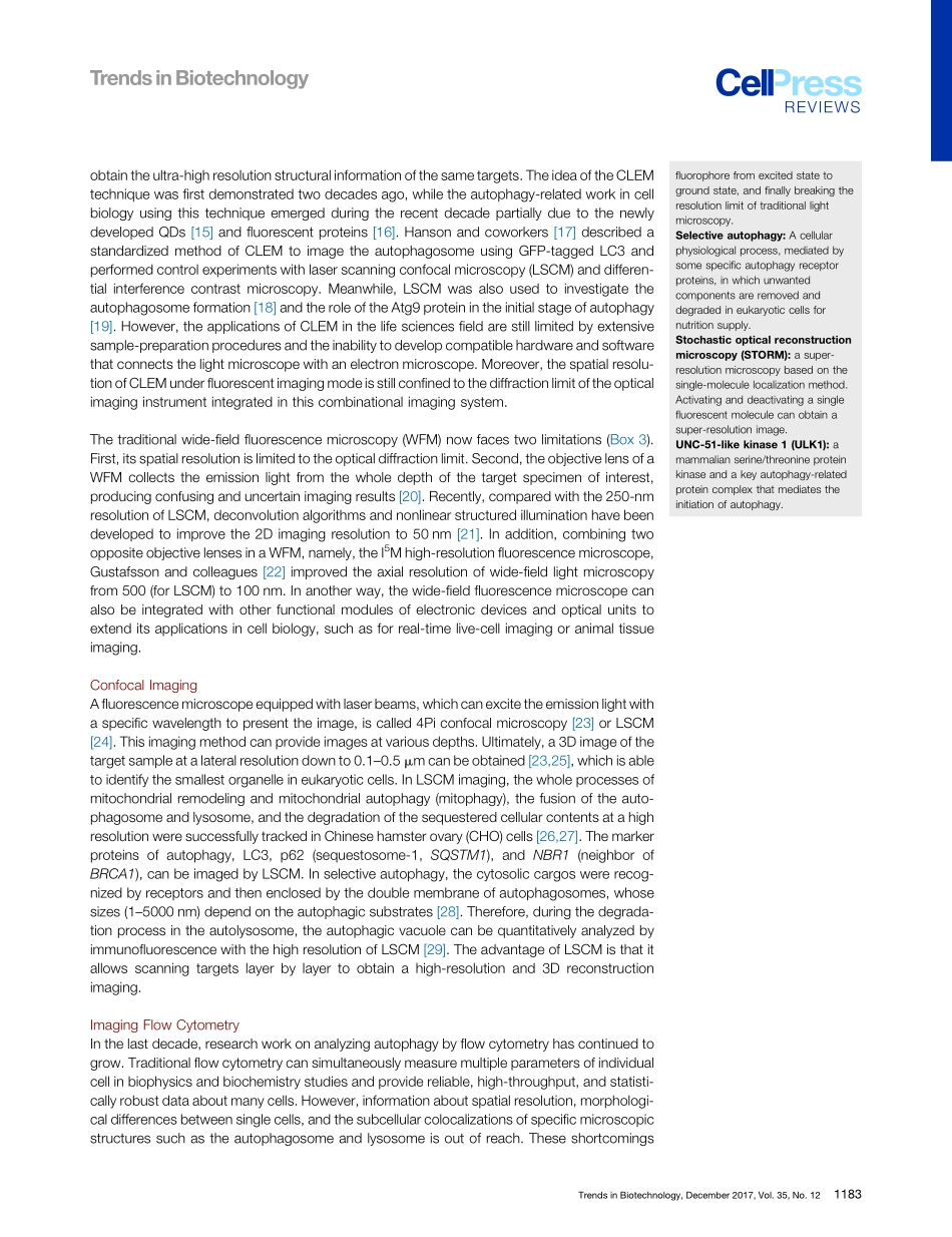 Optical Imaging Paves the Way for Autophagy Research.pdf_第3页