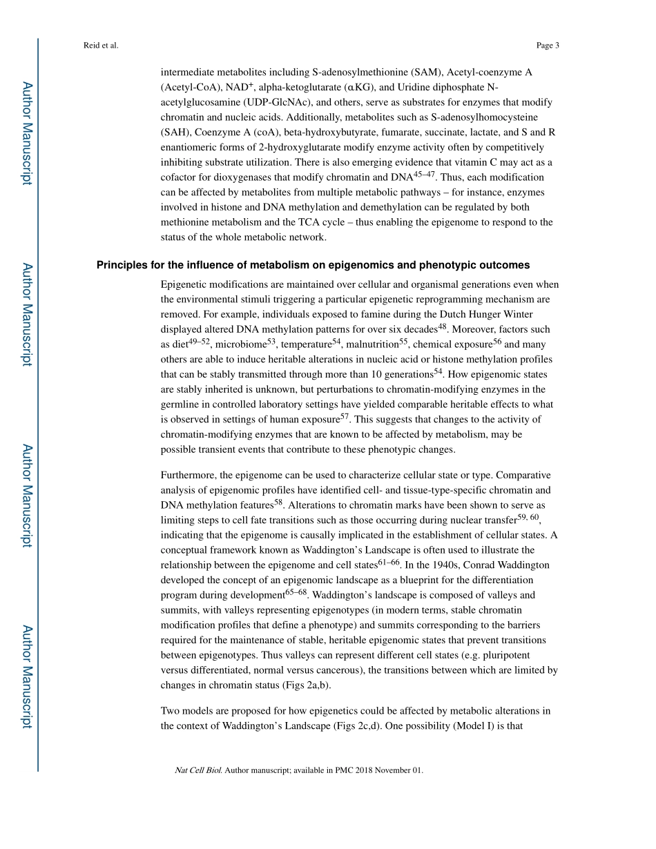 The impact of cellular metabolism on chromatin dynamics and epigenetics.pdf_第3页