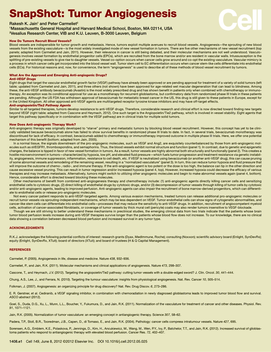 Tumor Angiogenesis.pdf_第2页