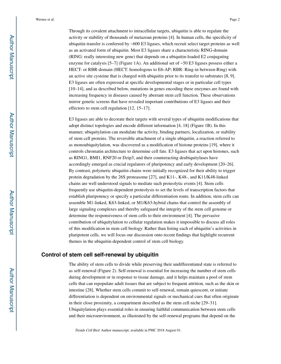 Ubiquitin-dependent regulation of stem cell biology.pdf_第2页