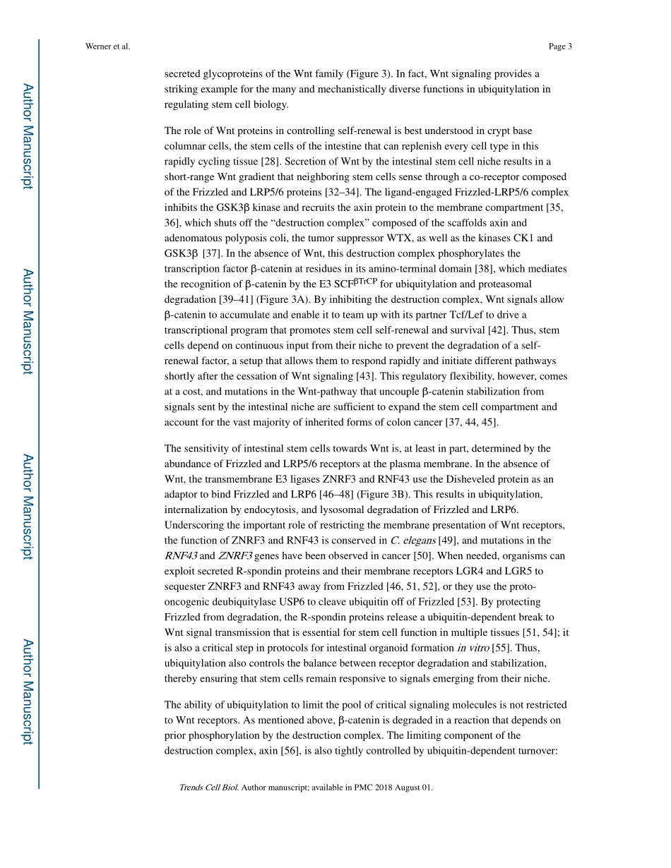Ubiquitin-dependent regulation of stem cell biology.pdf_第3页