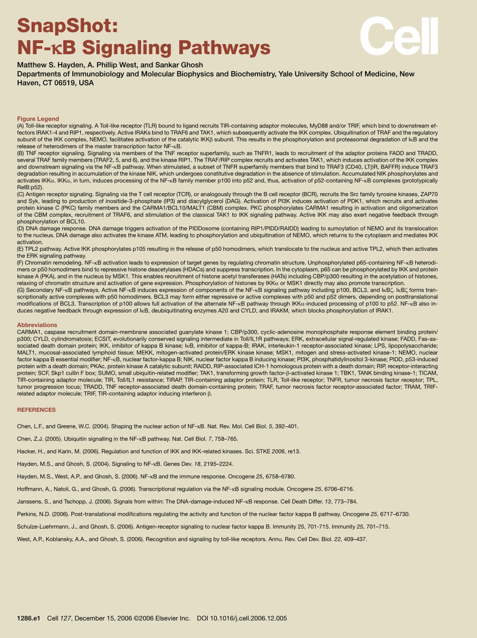 NF-kB Signaling Pathways.pdf_第2页