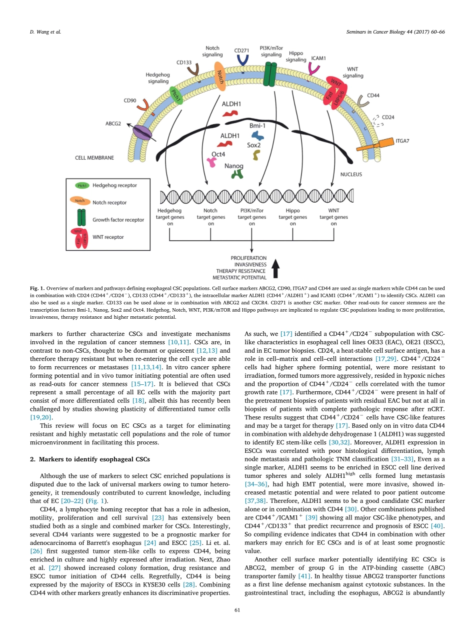Wang-2017-Cancer stem cells with increased met.pdf_第2页