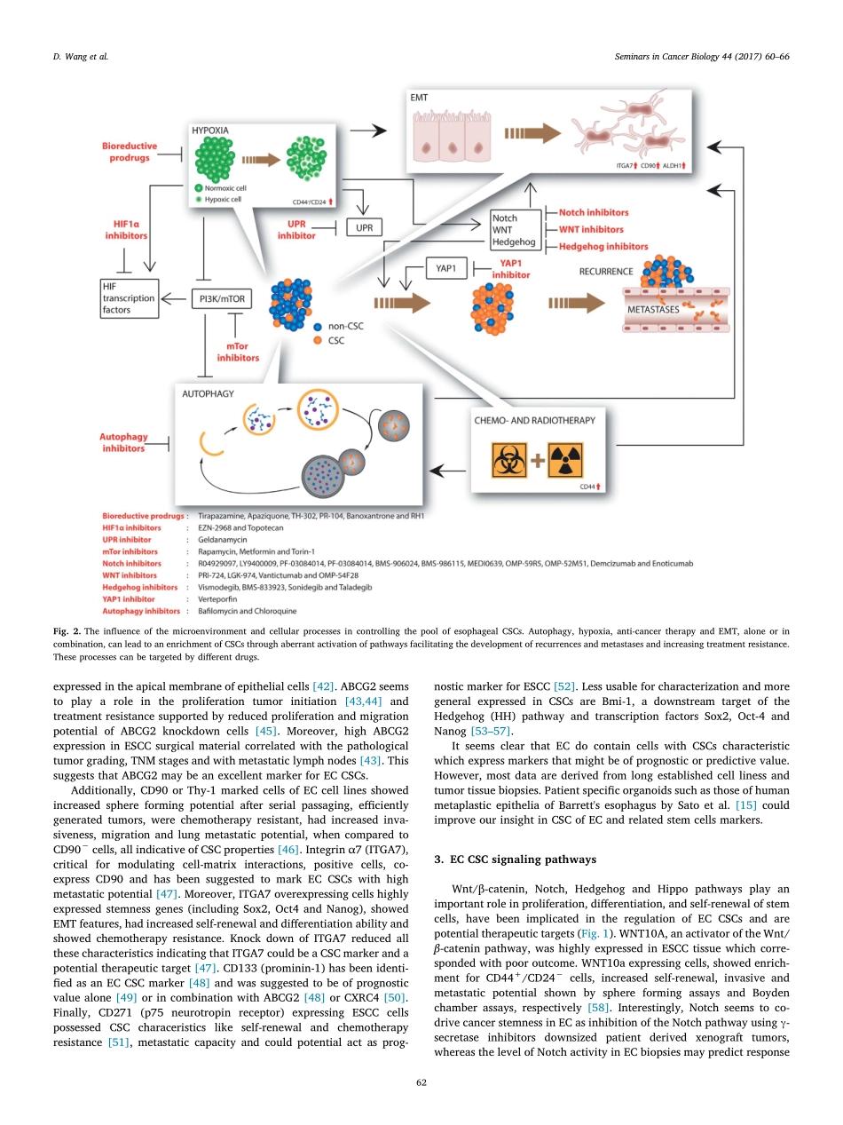 Wang-2017-Cancer stem cells with increased met.pdf_第3页