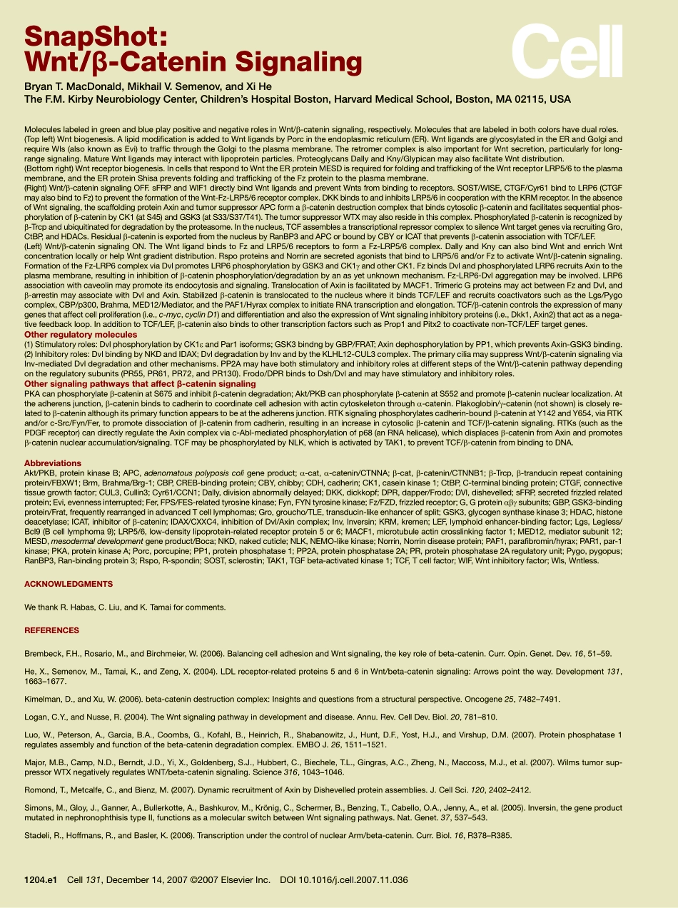 Wnt-β-Catenin Signaling.pdf_第2页