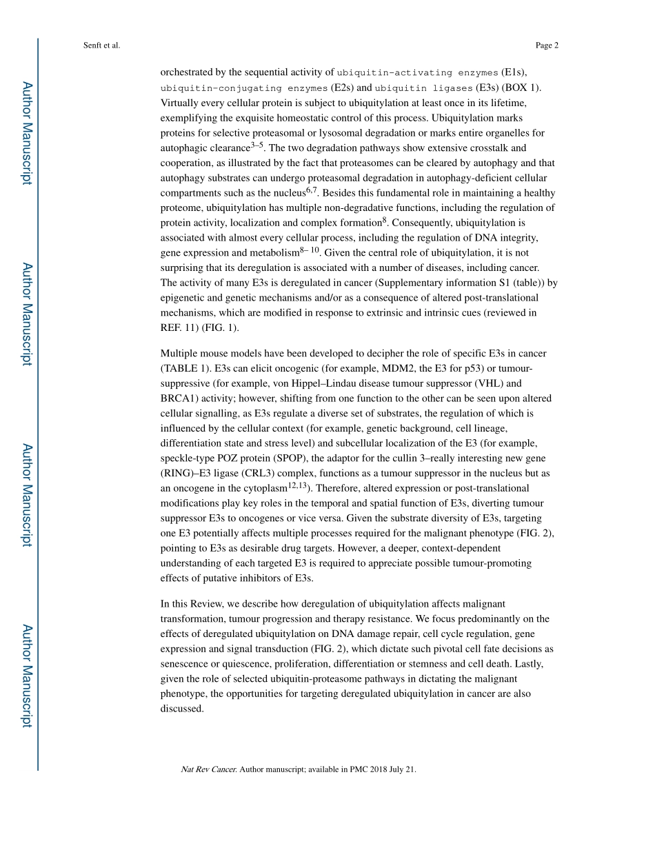 Ubiquitin ligases in oncogenic transformation and cancer therapy.pdf_第2页