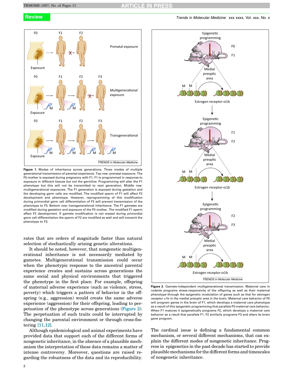 Nongenetic inheritance and transgenerational epigenetics.pdf_第2页