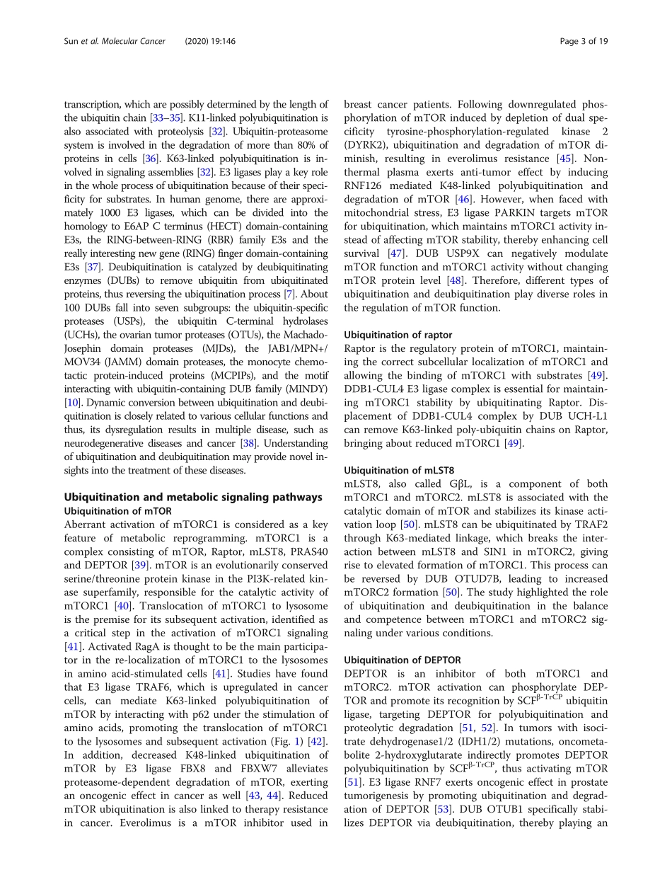 The role of ubiquitination and deubiquitinatio.pdf_第3页