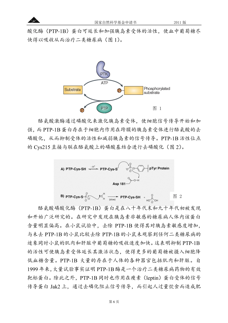 基于酪氨酸磷酸化酶PTP-1B的II型糖尿病药物设计.pdf_第3页