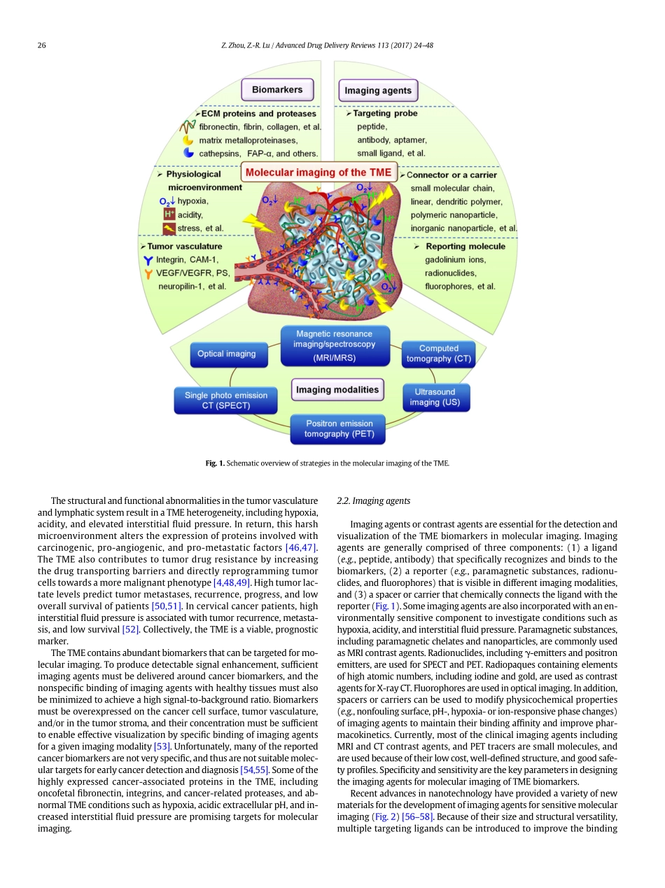 Zhou-2017-Molecular imaging of the tumor micro.pdf_第3页