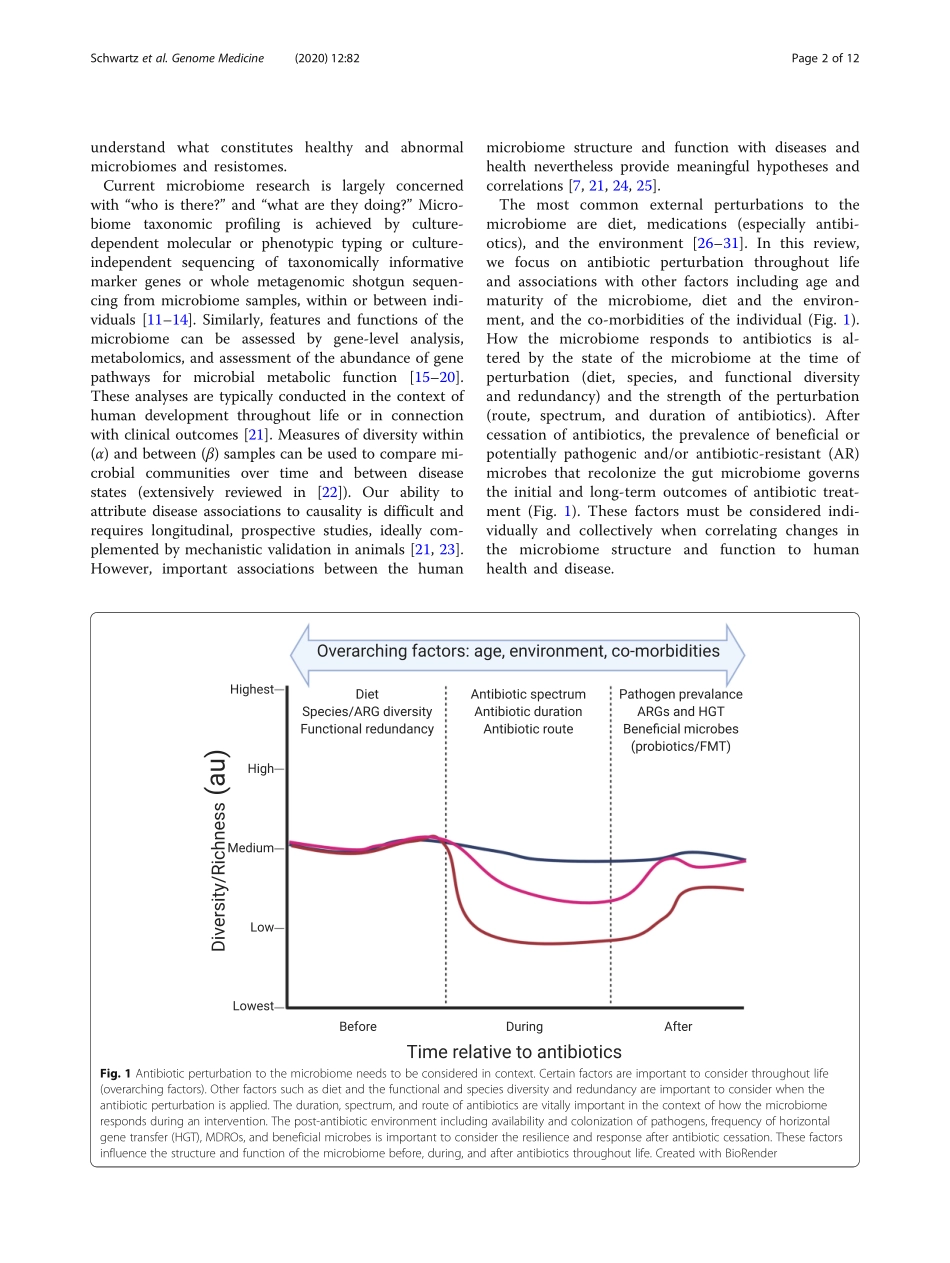 Understanding the impact of antibiotic perturb.pdf_第2页