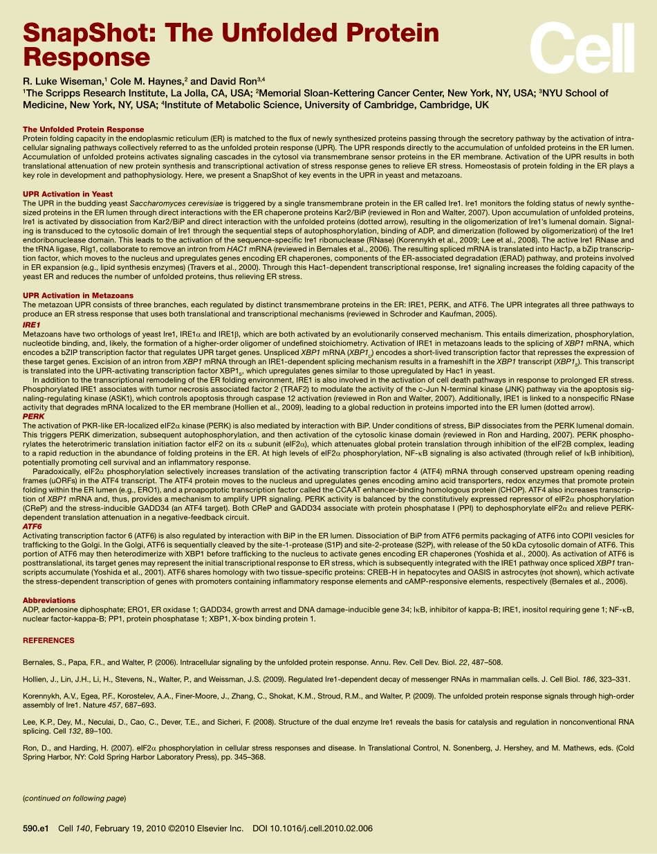 The Unfolded Protein Response.PDF_第2页
