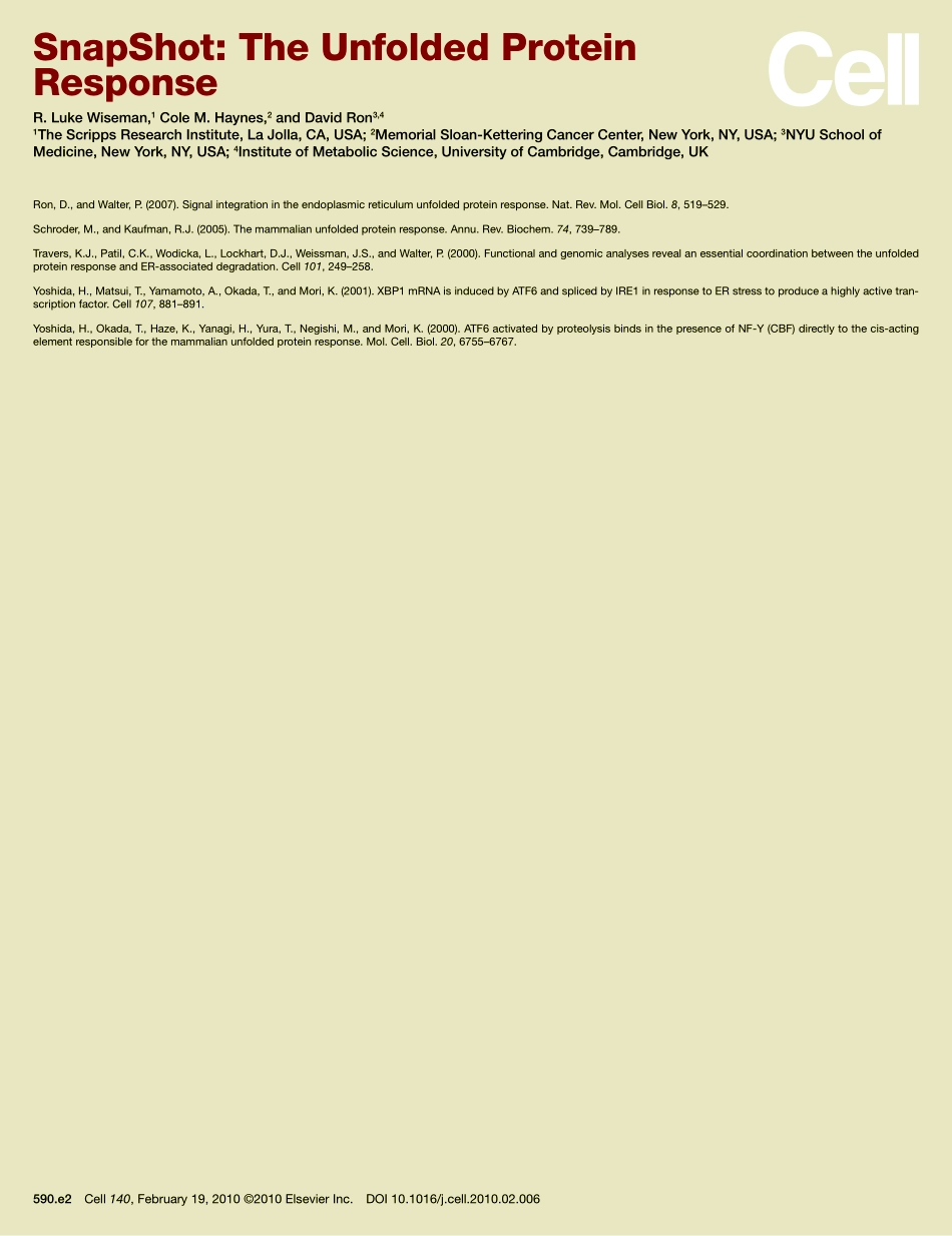 The Unfolded Protein Response.PDF_第3页