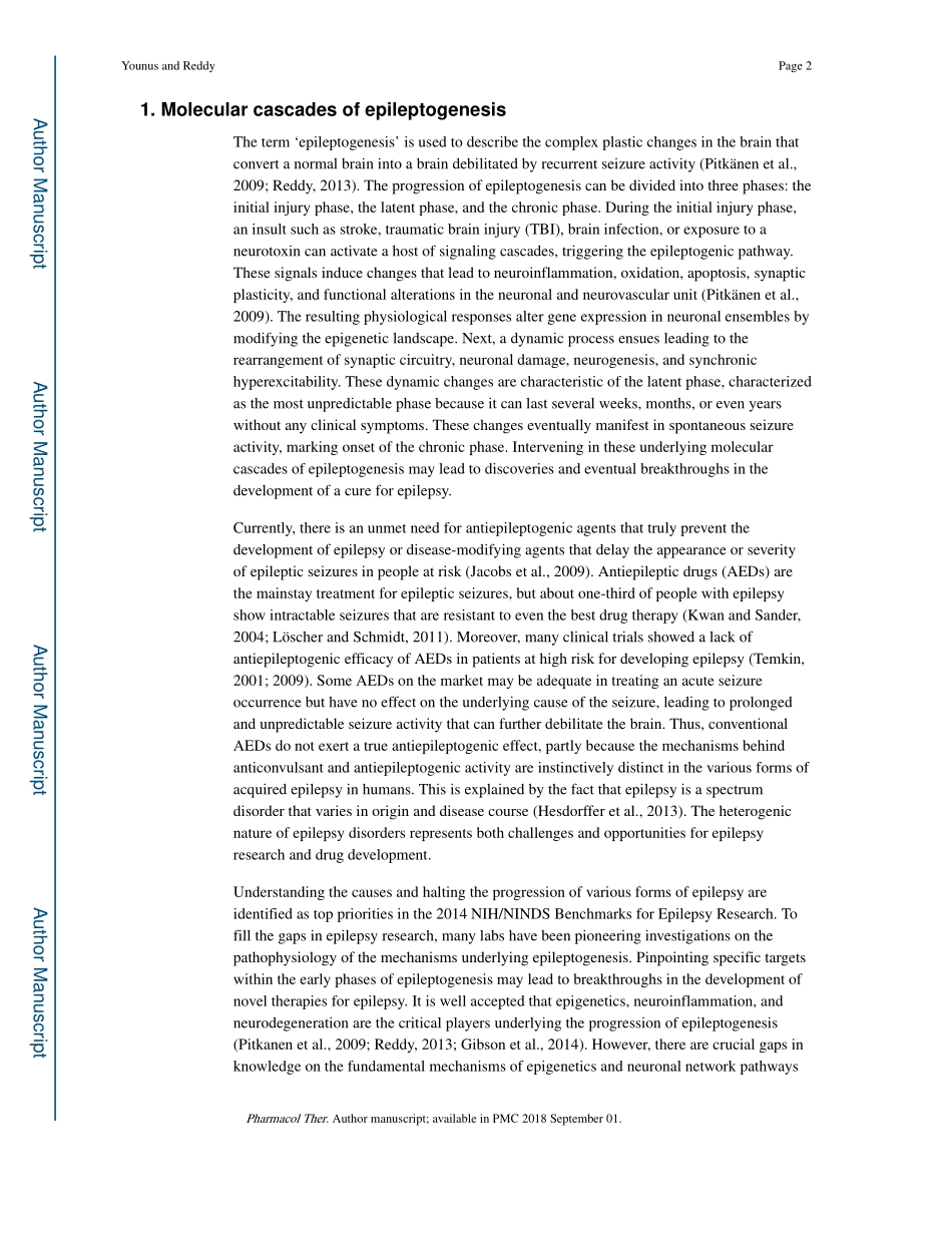 Younus-2017-Epigenetic interventions for epile.pdf_第2页