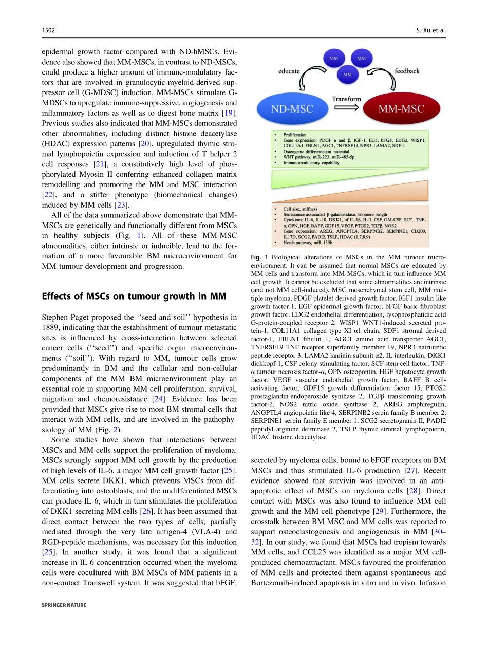 Xu-2018-Mesenchymal stem cells in multiple mye.pdf_第3页