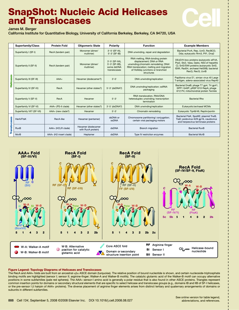 Nucleic Acid Helicases and Translocases.PDF_第1页