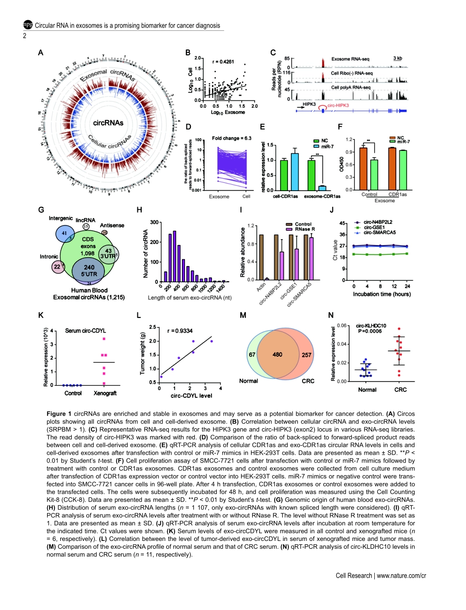 补充材料：Circular RNA is enriched and stable in exosomes： a promising biomarker for cancer diagnosis..pdf_第2页