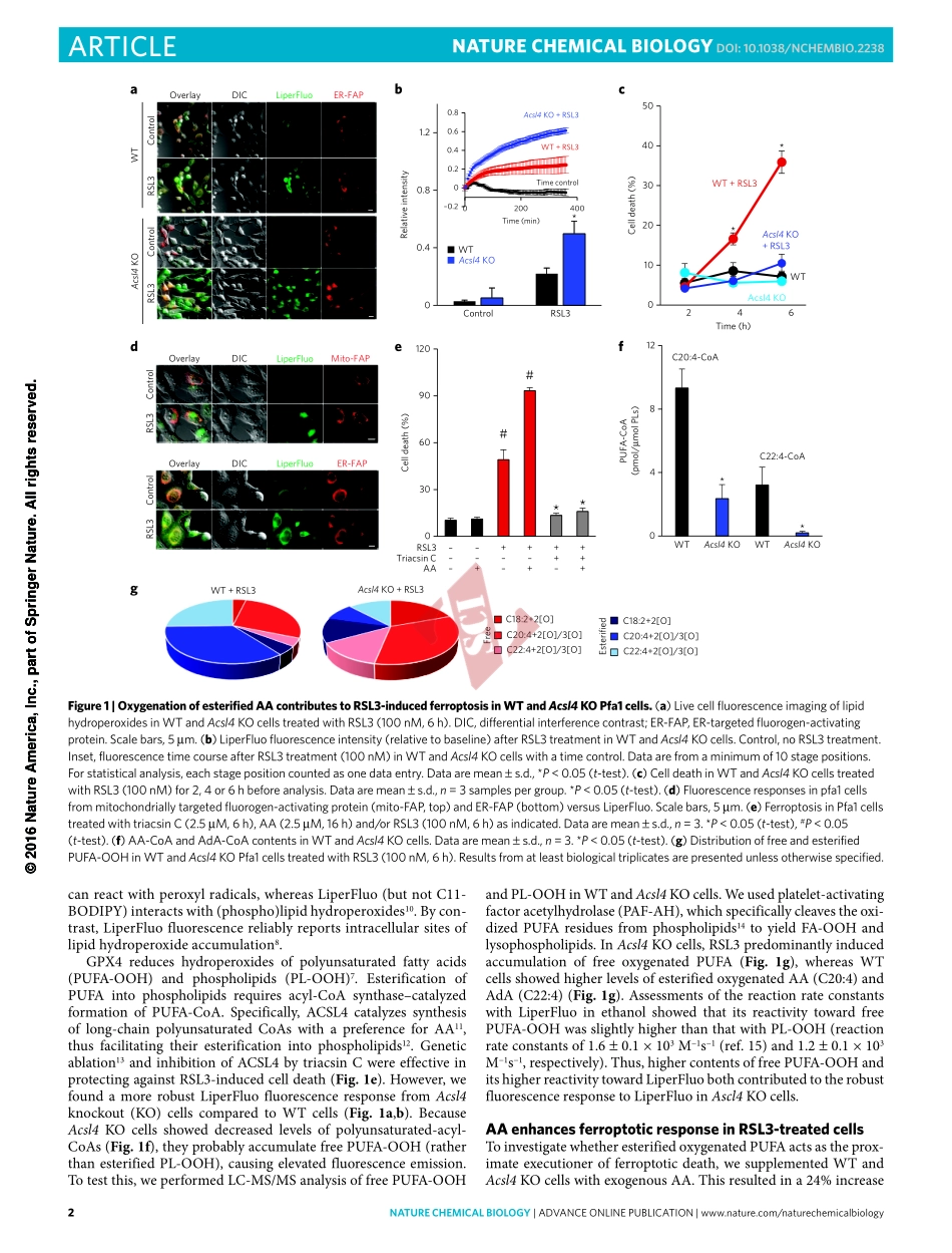 PMID：27842066.pdf_第2页
