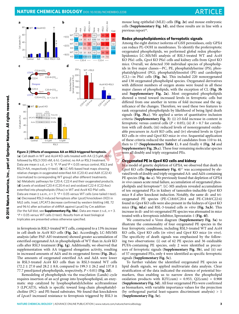 PMID：27842066.pdf_第3页