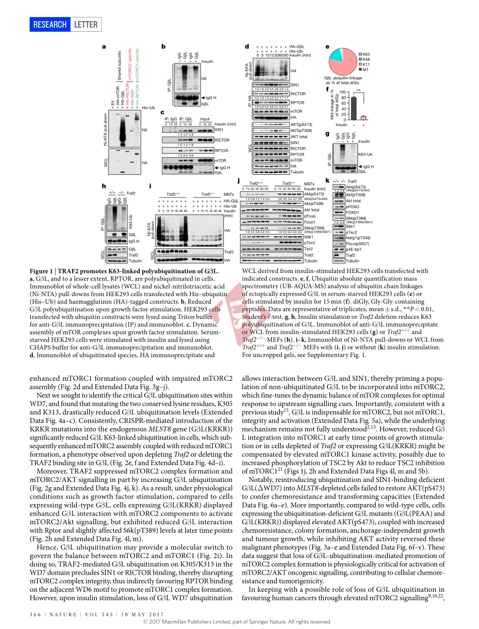 PMID：28489822.pdf_第2页