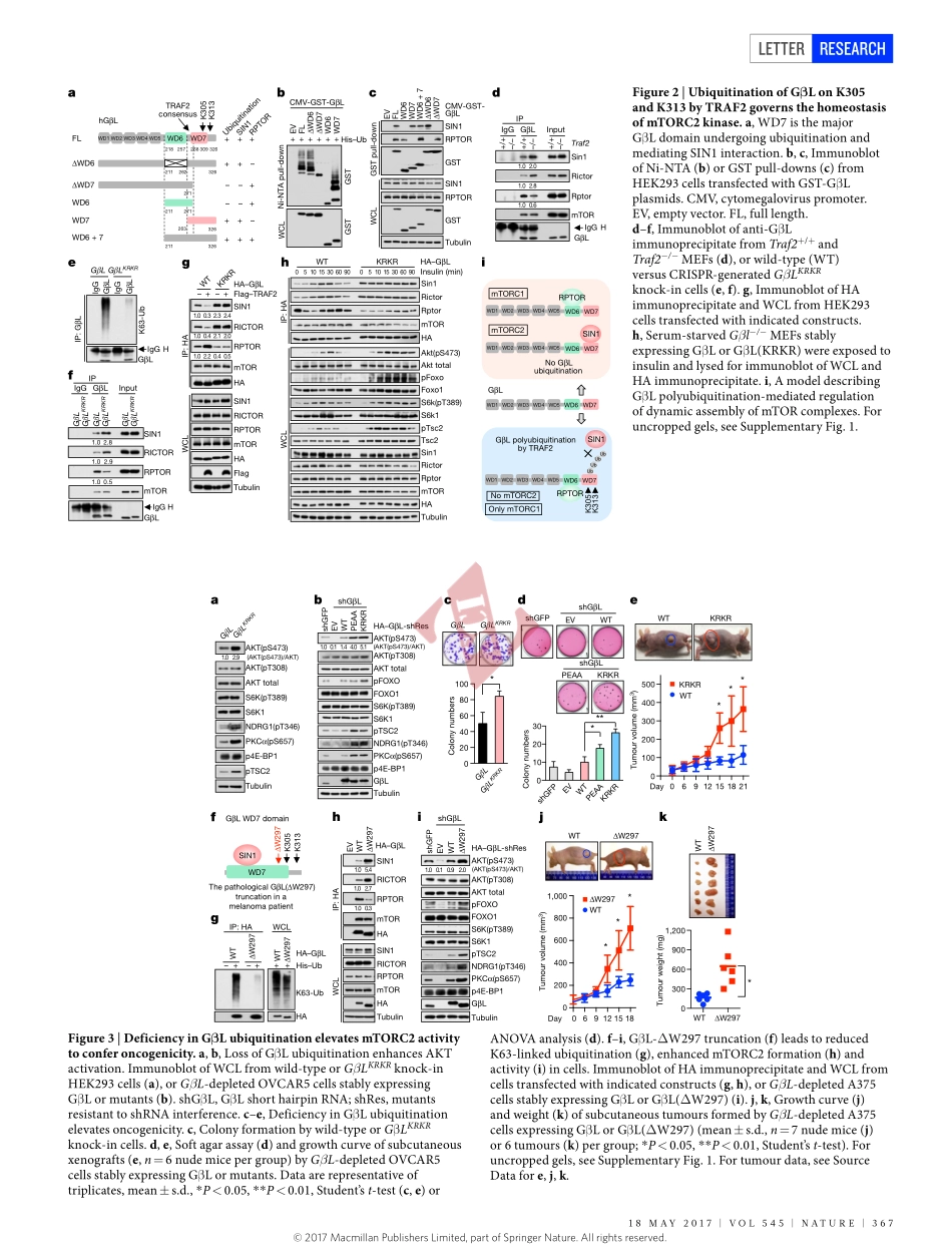 PMID：28489822.pdf_第3页