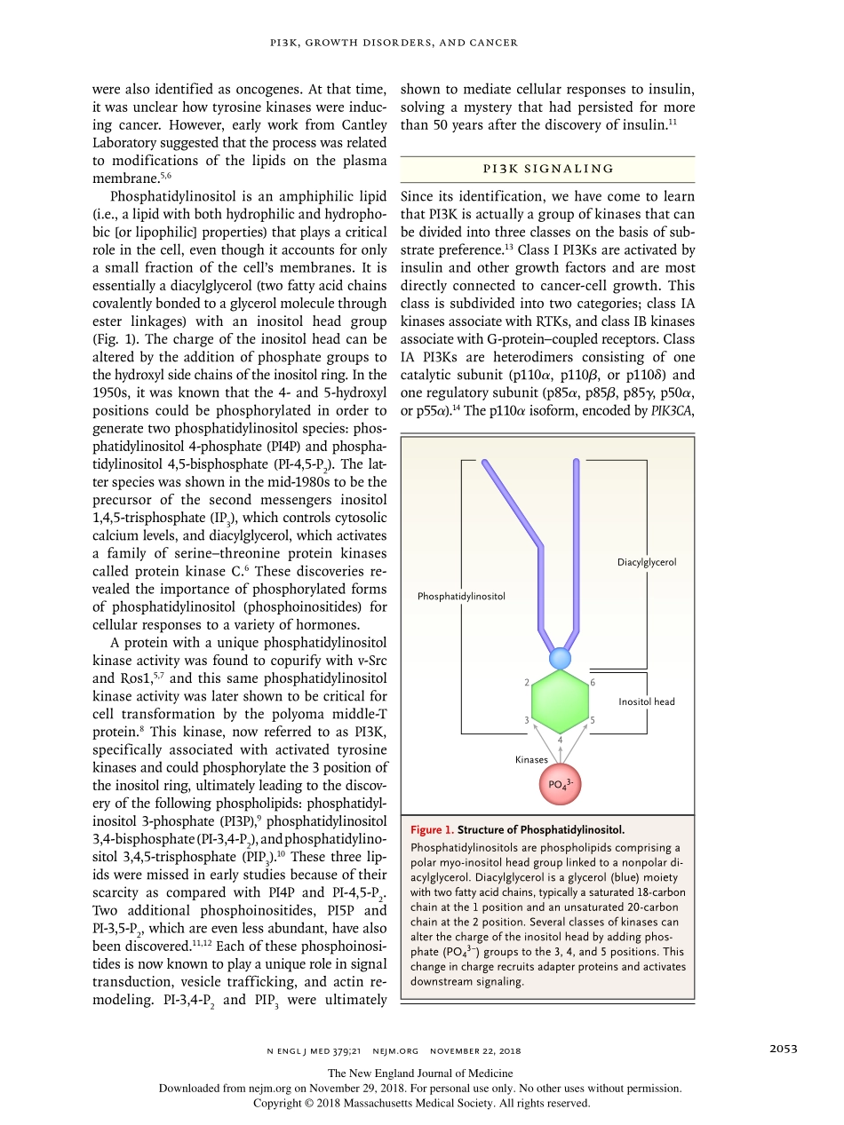 Phosphatidylinositol 3-Kinase, Growth Disorder.pdf_第2页
