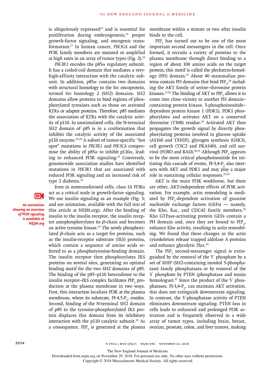Phosphatidylinositol 3-Kinase, Growth Disorder.pdf_第3页