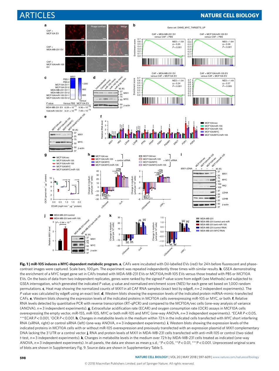 PMID：29662176.pdf_第2页