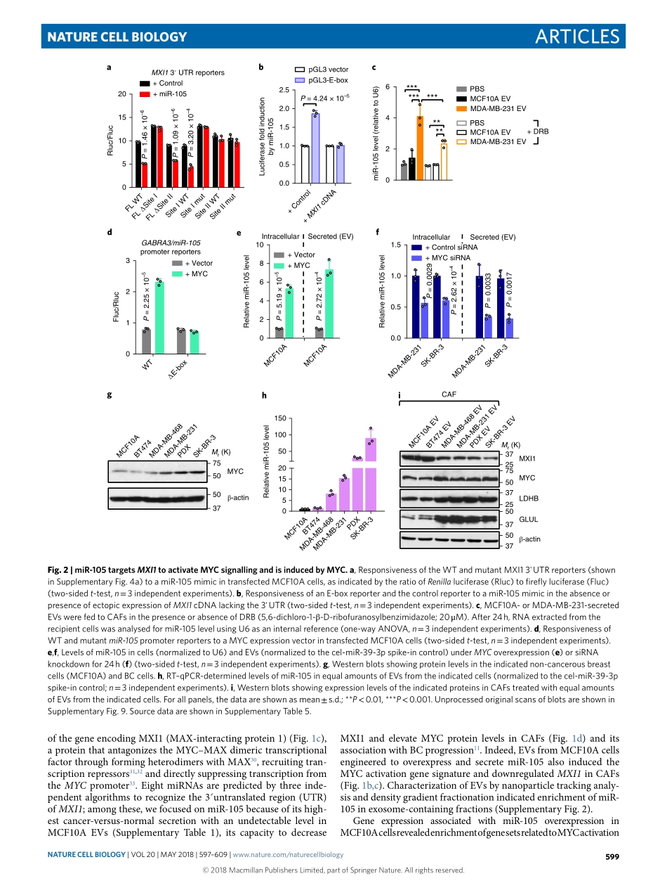 PMID：29662176.pdf_第3页