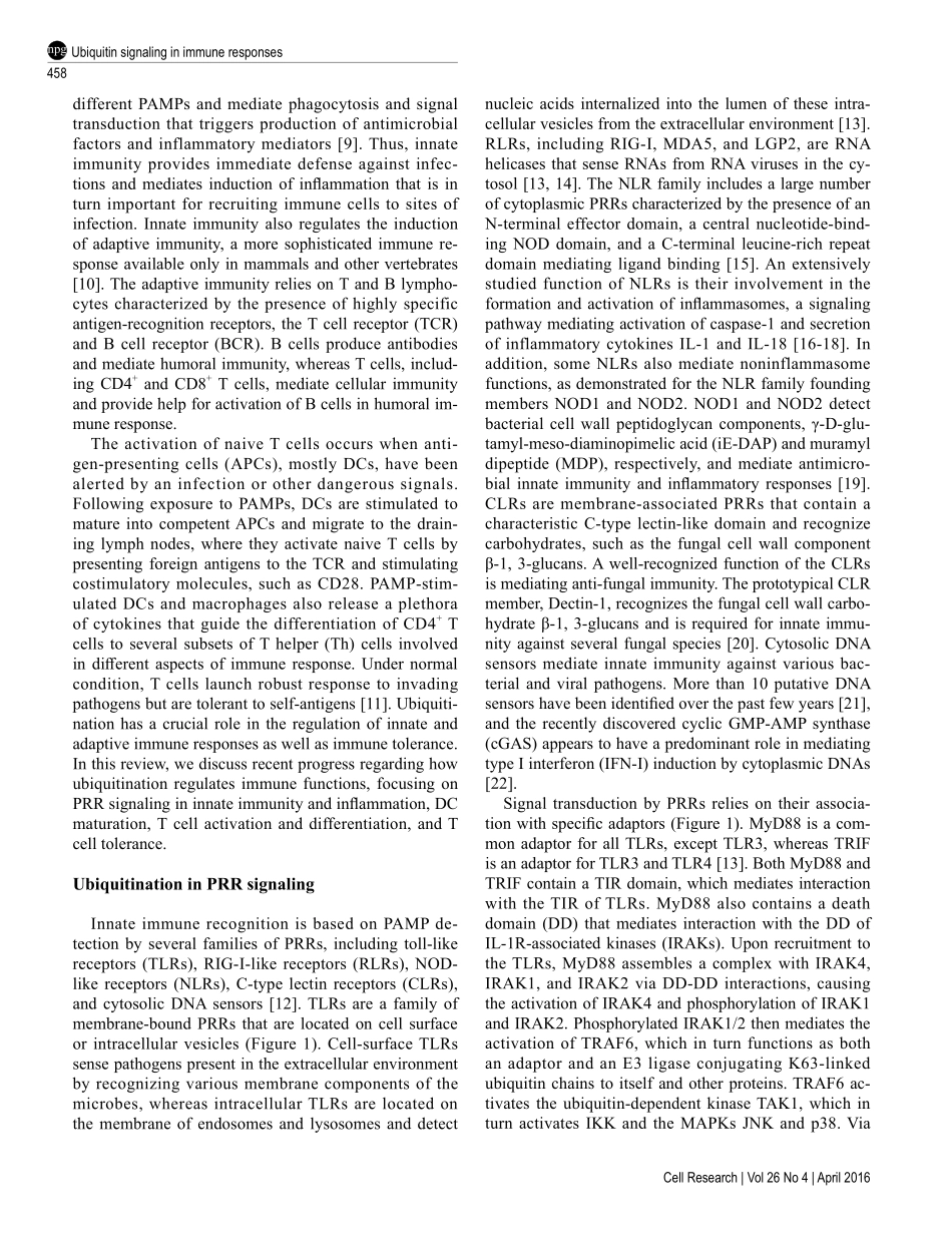 Ubiquitin signaling in immune responses.pdf_第2页