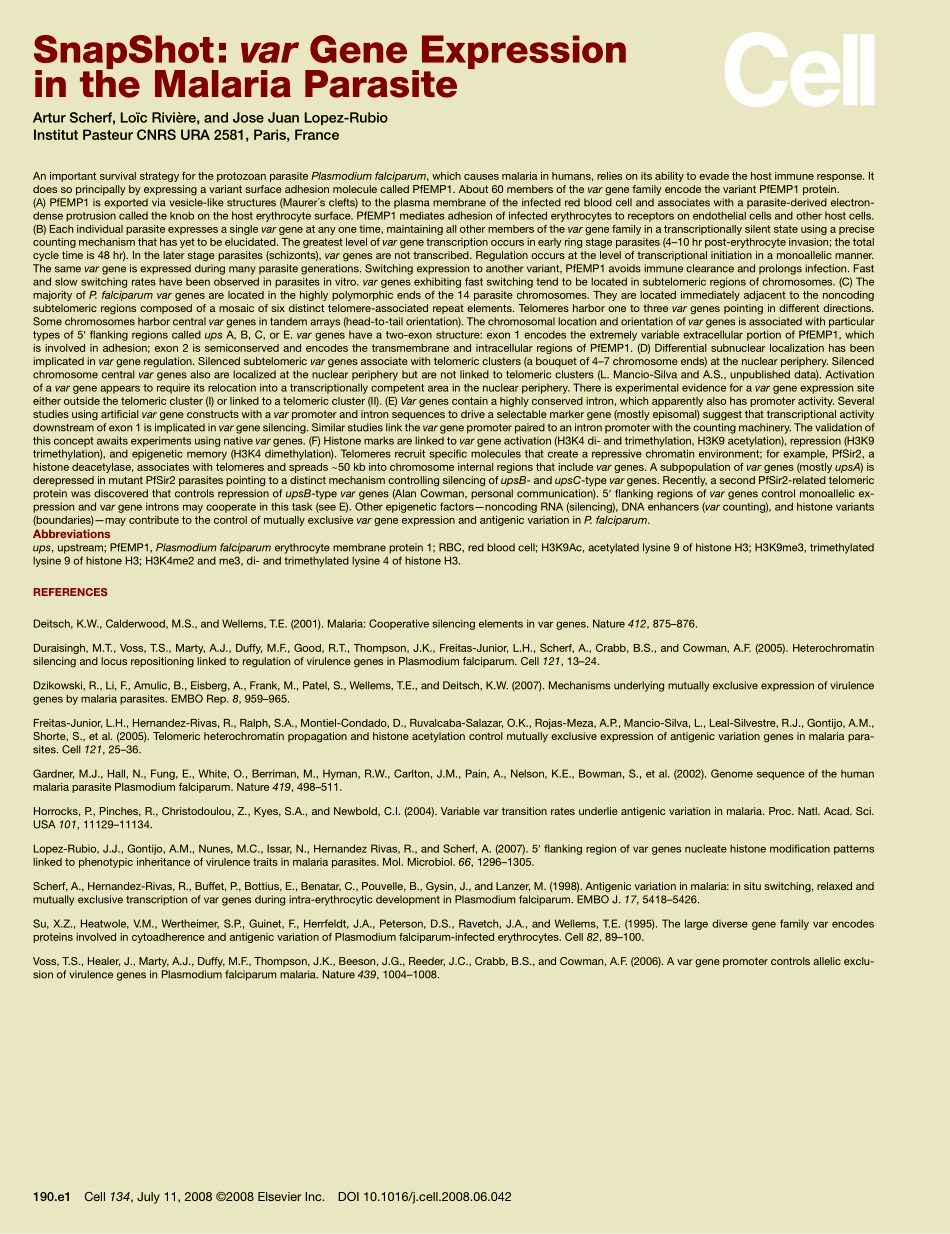 var Gene Expression in the Malaria Parasite.PDF_第2页
