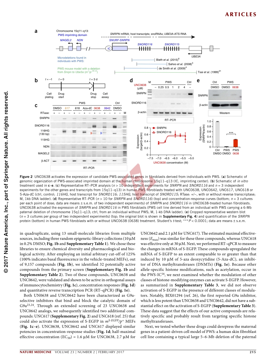 PMID：28024084.pdf_第3页
