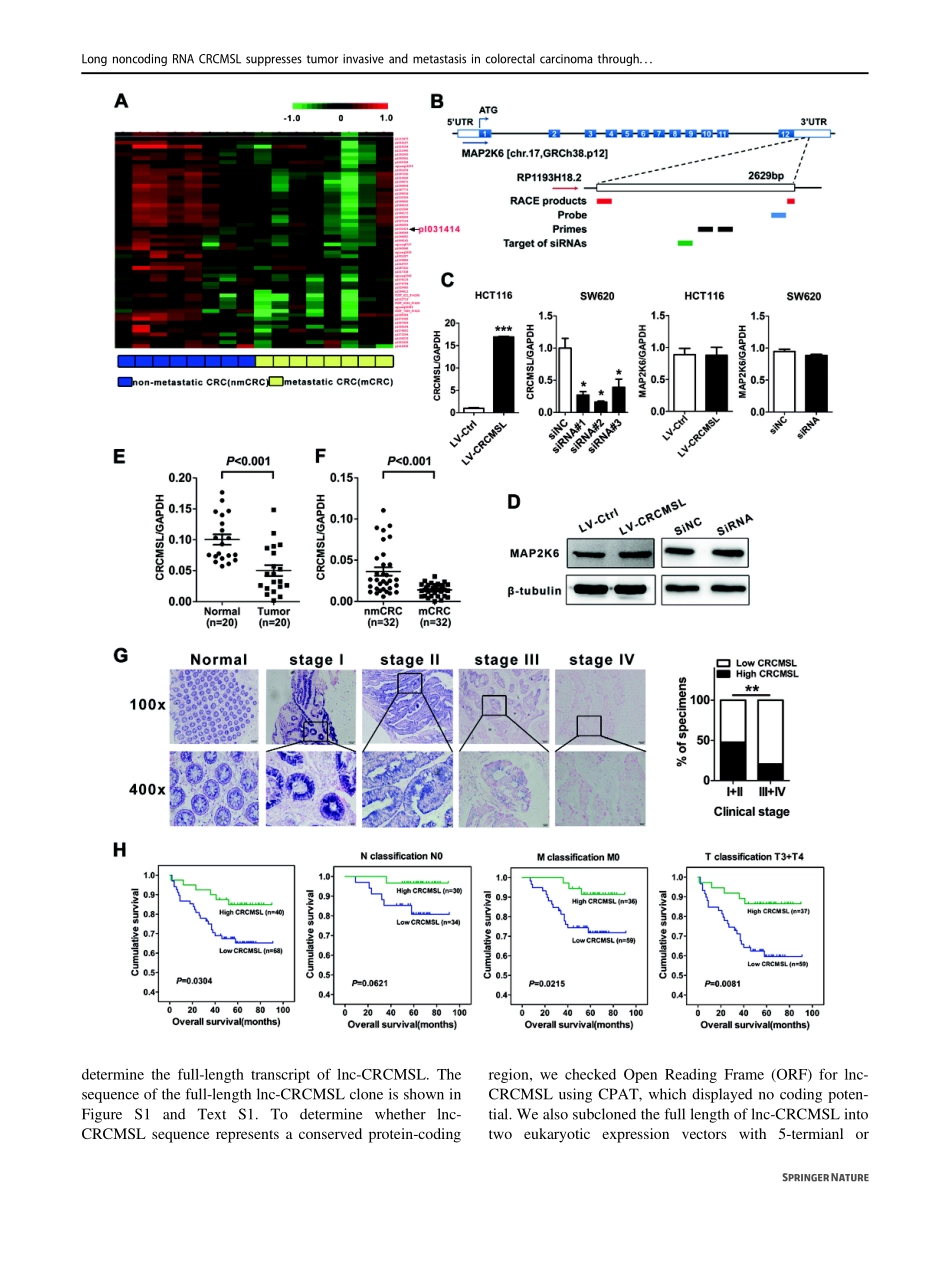PMID：30575817.pdf_第3页
