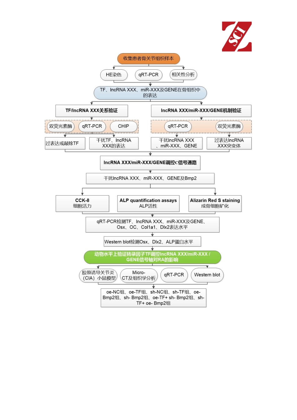 国自然热点中标项目分析（转录因子）.pdf_第3页