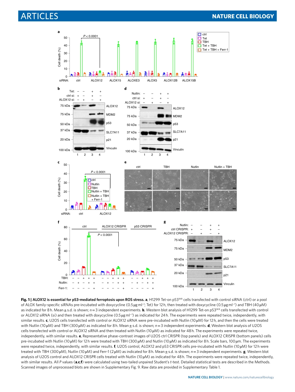 PMID：30962574.pdf_第2页