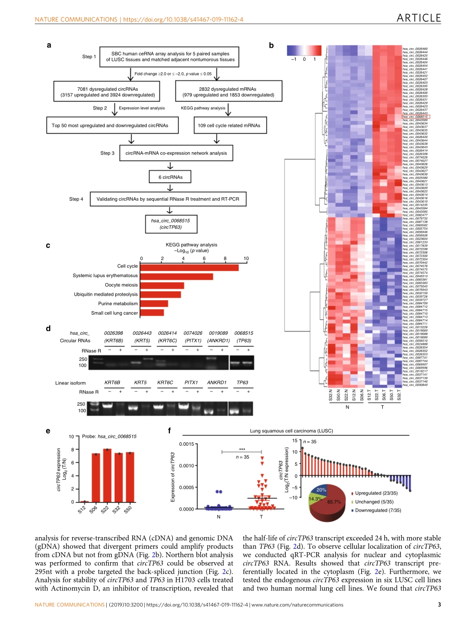 PMID：31324812.pdf_第3页