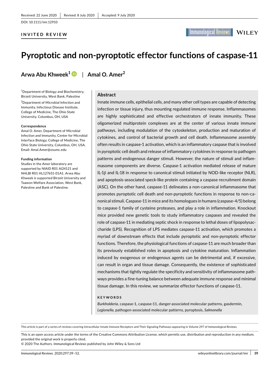 Pyroptotic and non-pyroptotic effector functio.pdf_第1页