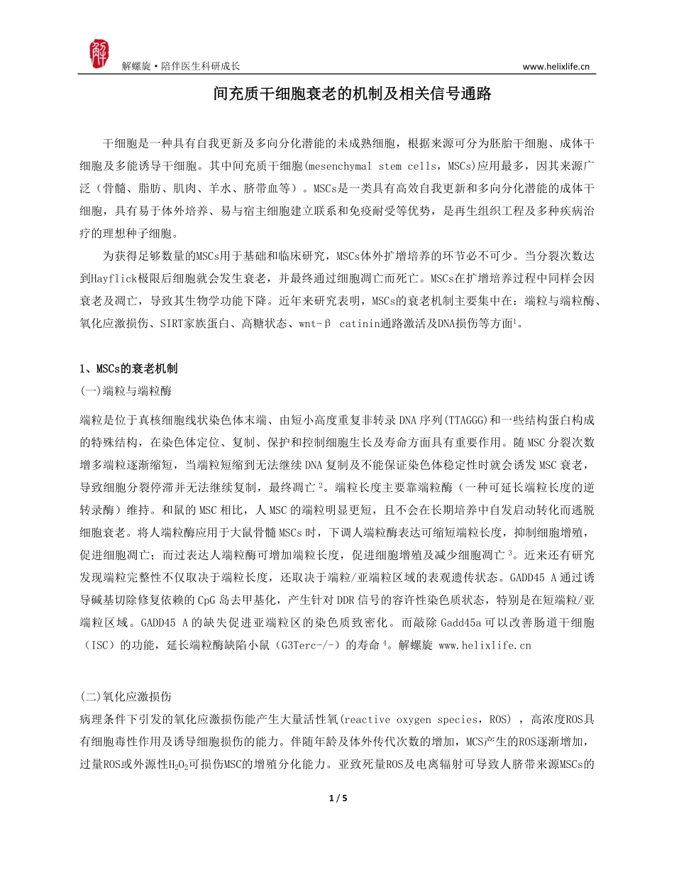 间充质干细胞衰老机制的研究进展.pdf_第1页