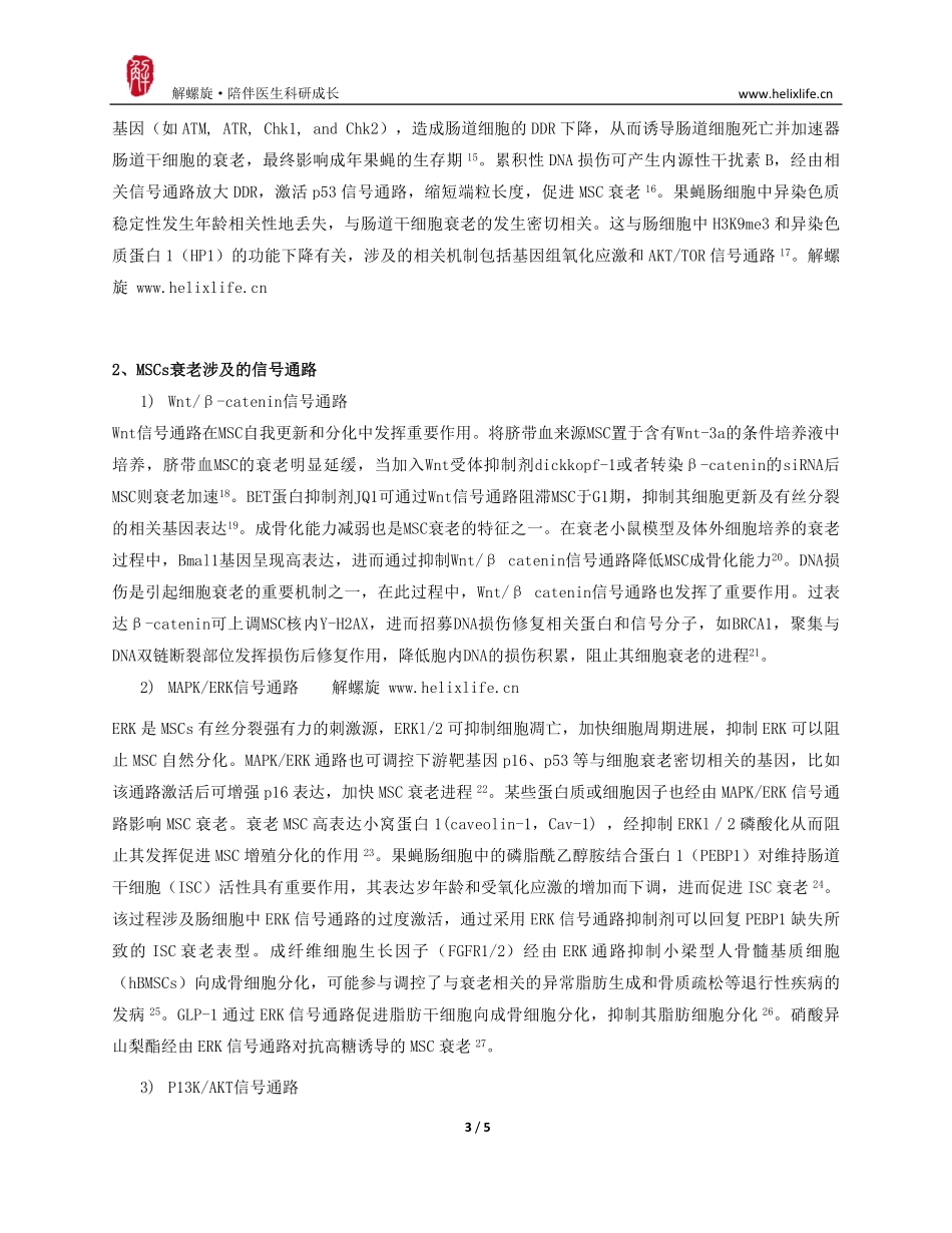 间充质干细胞衰老机制的研究进展.pdf_第3页