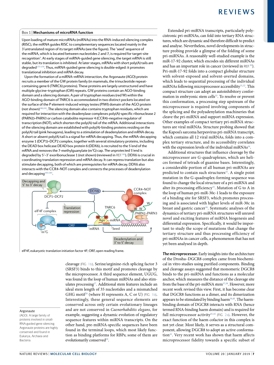 Regulation of microRNA biogenesis and its cros.pdf_第3页