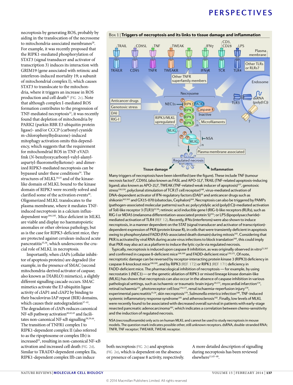 Regulated necrosis- the expanding network of non-apoptotic cell death pathways.pdf_第3页