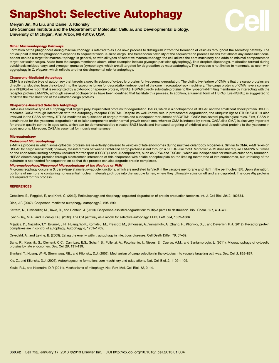 Selective Autophagy.pdf_第3页