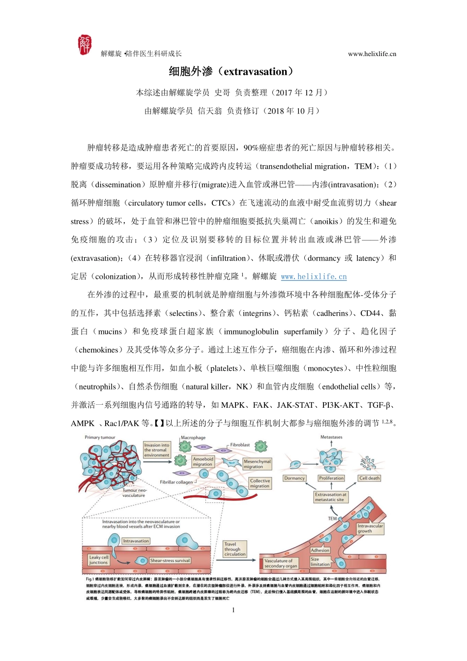 细胞外渗（extravasation）.pdf_第1页