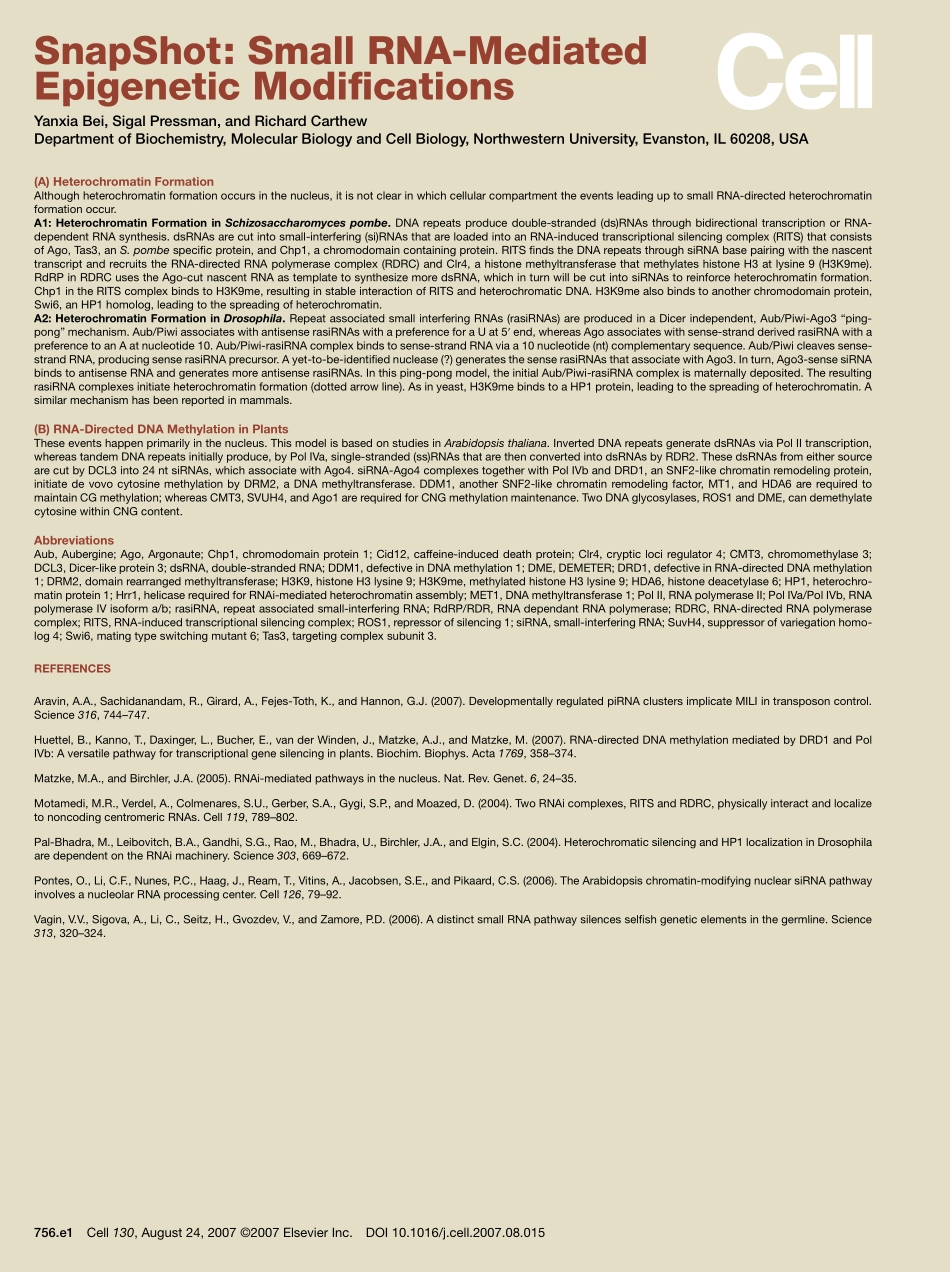 Small RNA-Mediated Epigenetic Modifications 1.pdf_第2页