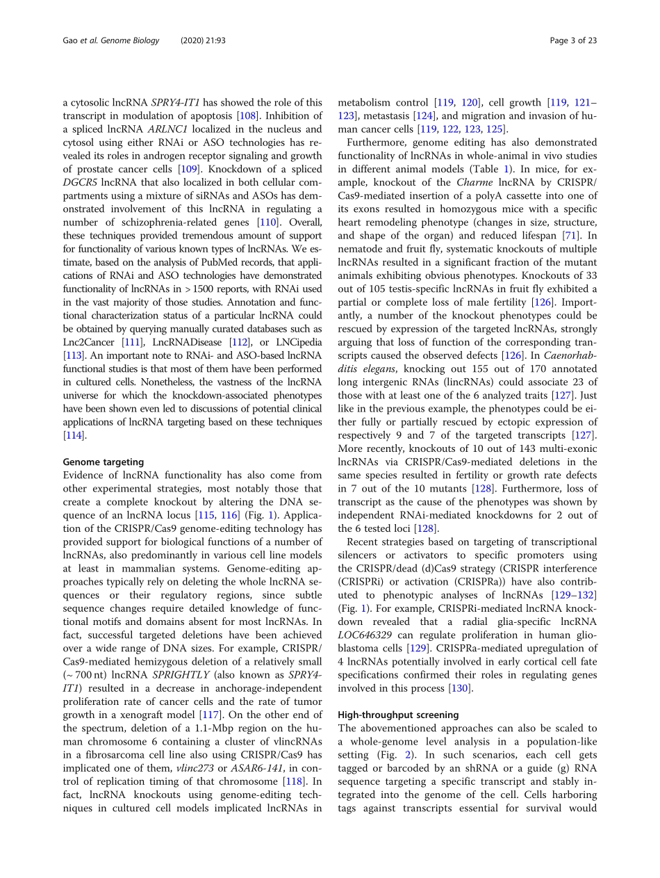 Reverse-genetics studies of lncRNAs—what we ha.pdf_第3页