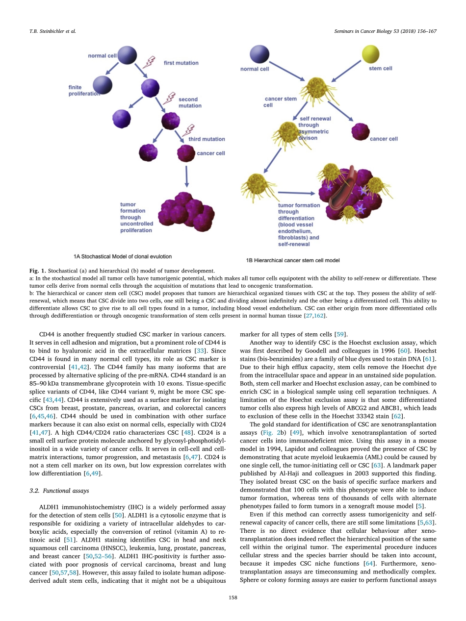 Steinbichler-2018-Therapy resistance mediated.pdf_第3页