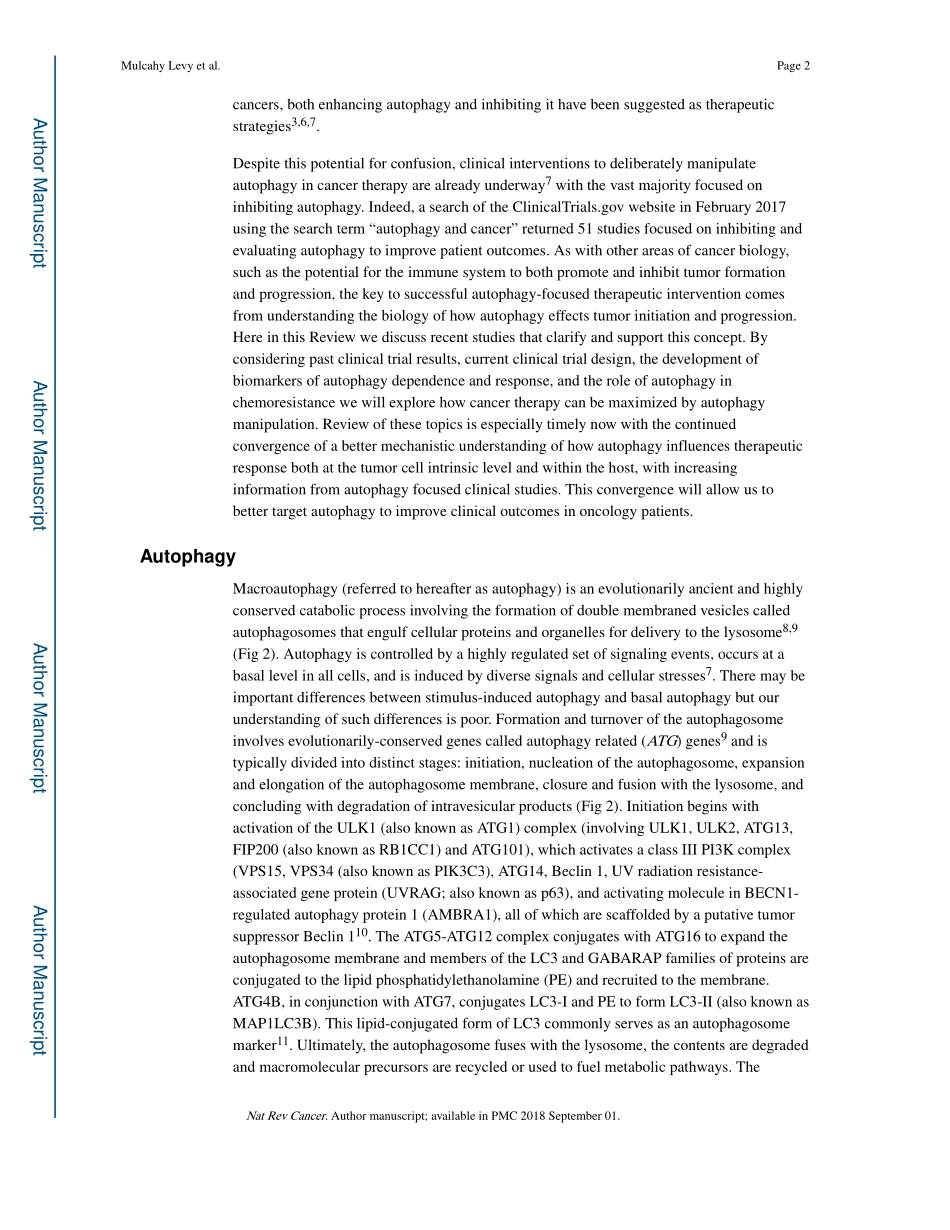 Targeting Autophagy in Cancer.pdf_第2页