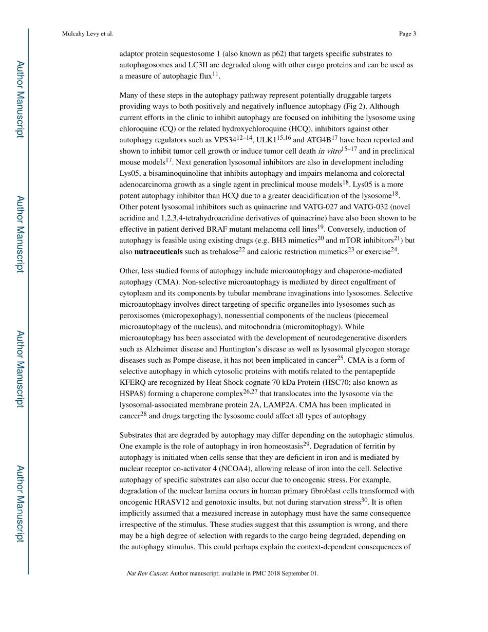 Targeting Autophagy in Cancer.pdf_第3页